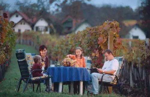 Majatalo Gasthof Hotel Zum Weinberg