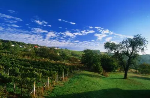 Majatalo Gasthof Hotel Zum Weinberg