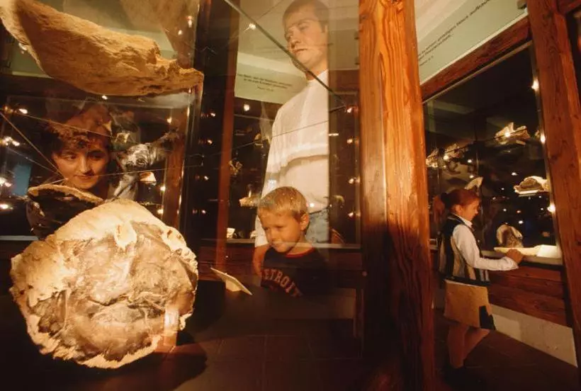 Majatalo Gasthof Hotel Zum Weinberg