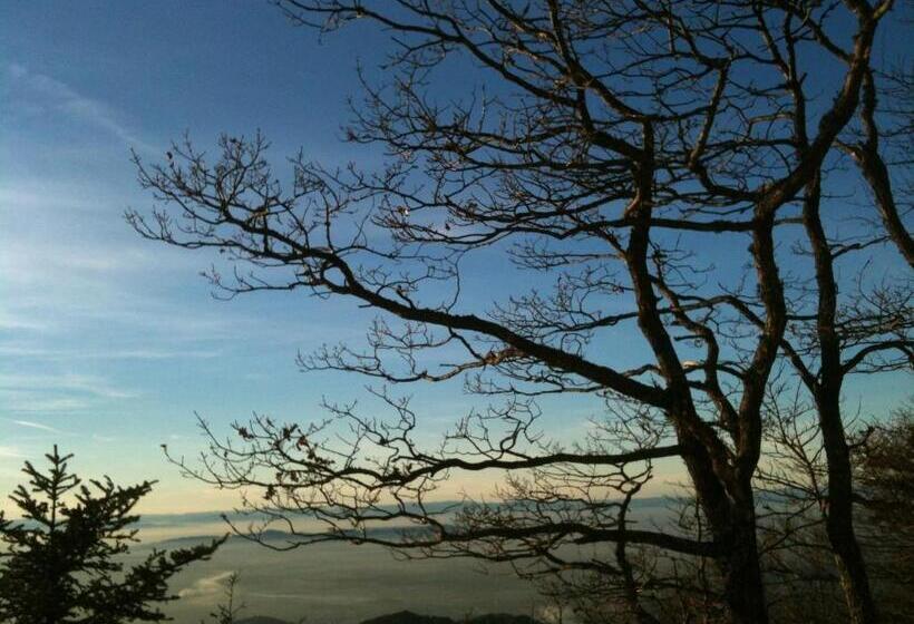 بنسيون Haus Sonja