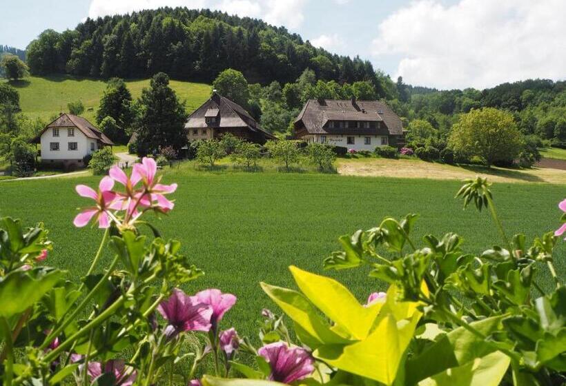 بنسيون Haus Sonja