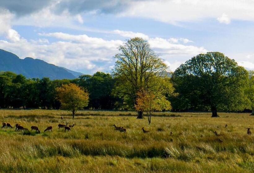 بنسيون Keanes Of Curraheen, Bar, Restaurant & Accommodation