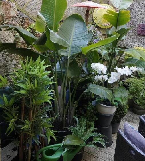 ペンション Marlborough Guest House B & B