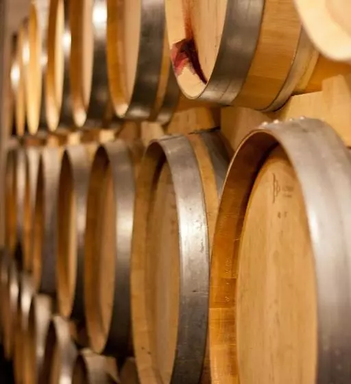 پانسیون Weingut Franz Schindler