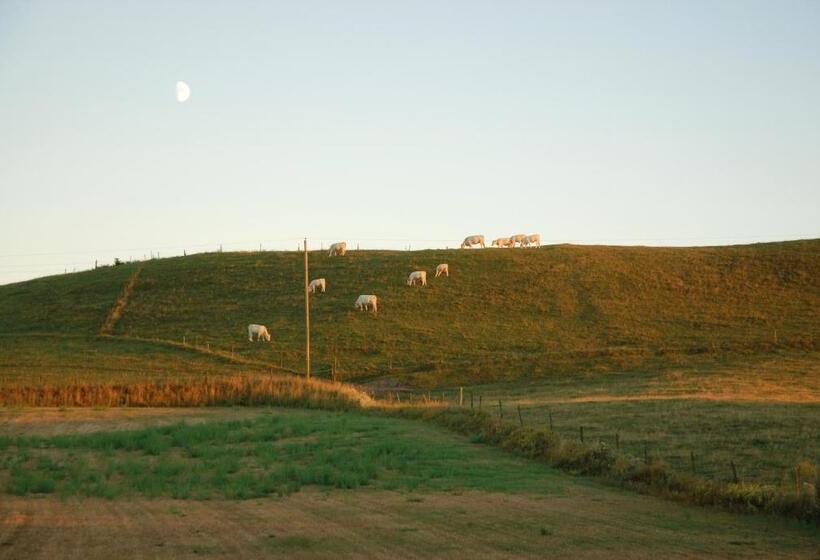 Bed and Breakfast Vallebergaslätt