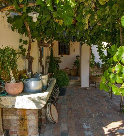 Отель Agriturismo Olmi Grossi