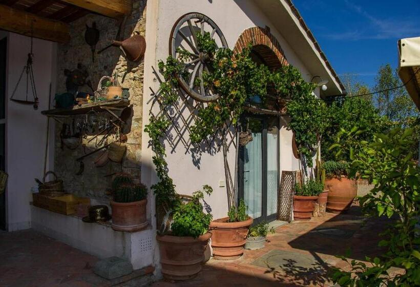 Отель Agriturismo Olmi Grossi