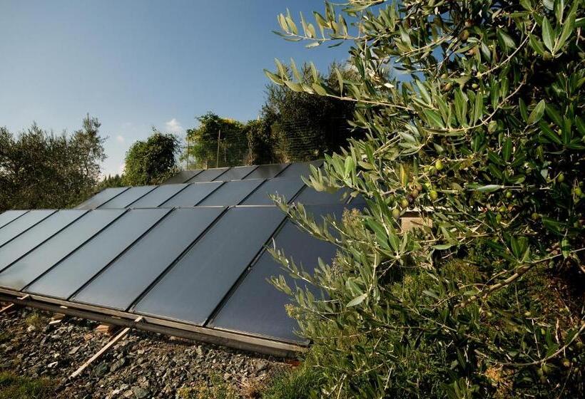 호텔 Tenuta Decimo   Villa Dini