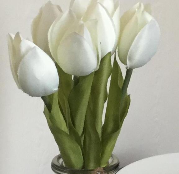 פנסיון Clare House