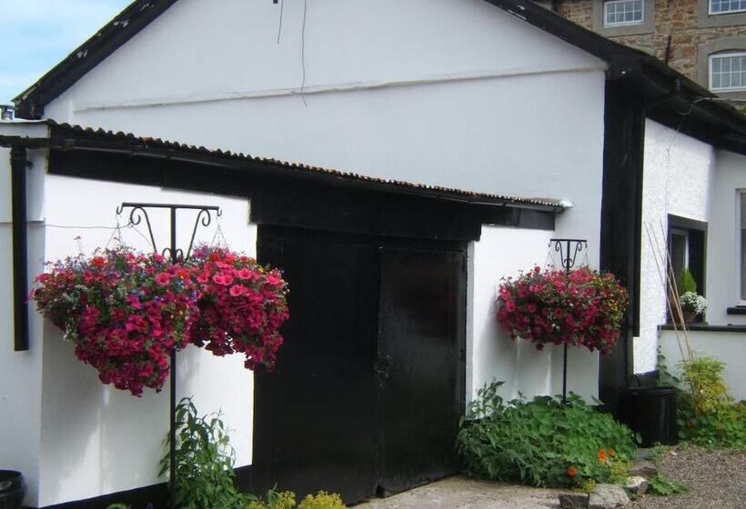 پانسیون Faythe Guesthouse