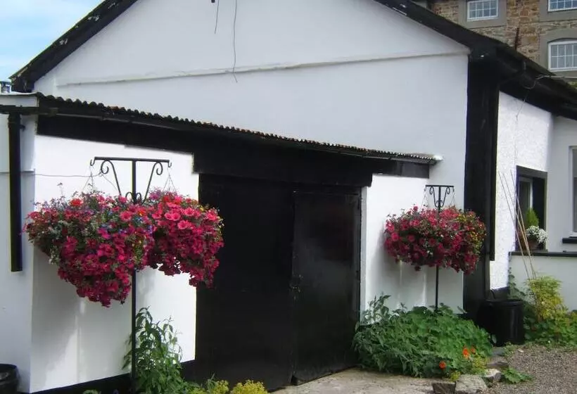 Pension Faythe Guesthouse