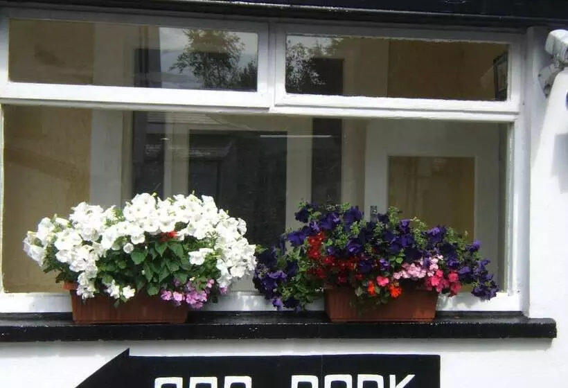 Pension Faythe Guesthouse