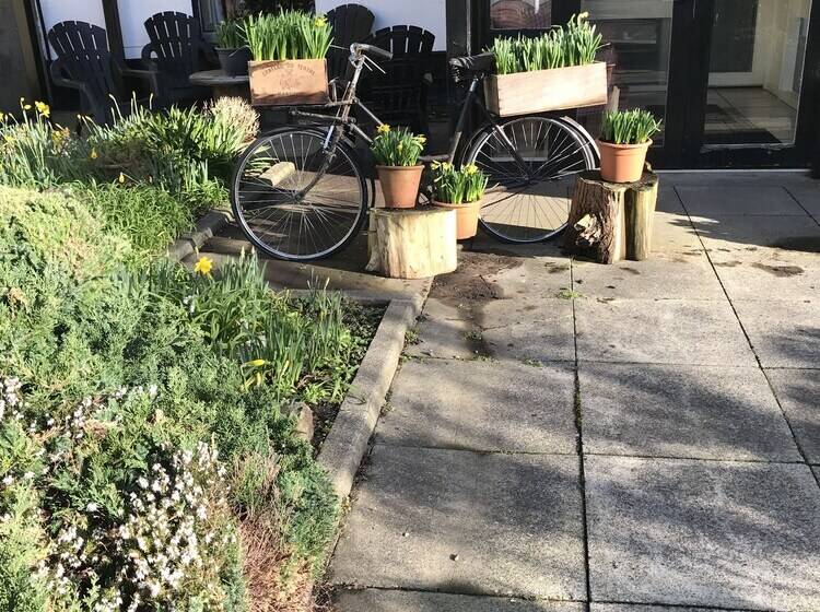 پانسیون Faythe Guesthouse