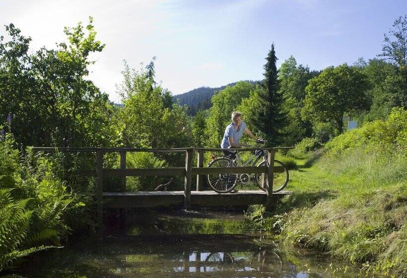 Пансион Forellenhof Poggel