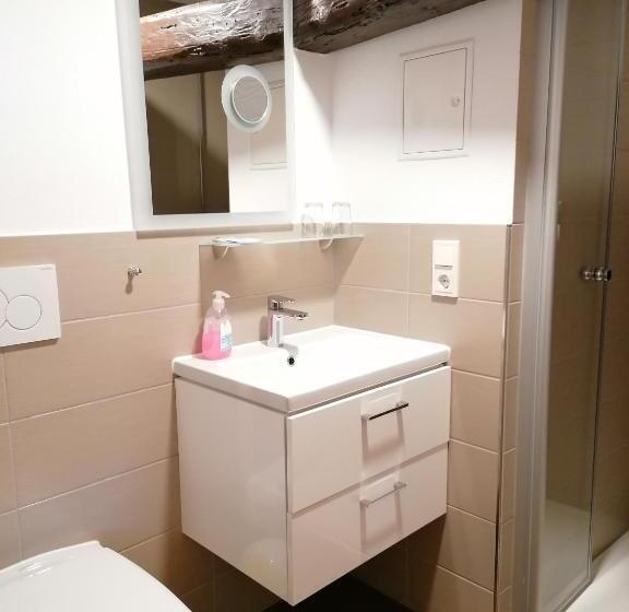 פנסיון Garni Alter Fritz