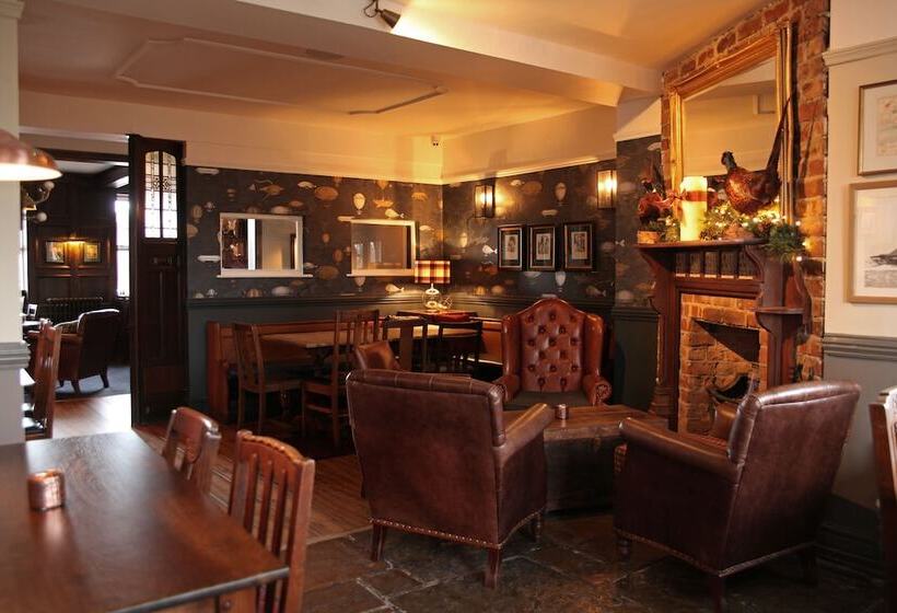 بنسيون The Jug And Bottle