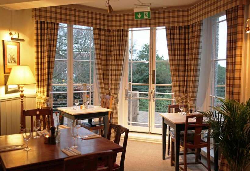 بنسيون The Jug And Bottle