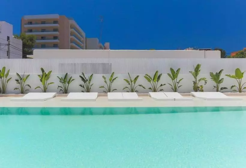 White Apartments   Adults Only