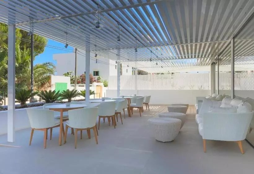 White Apartments   Adults Only