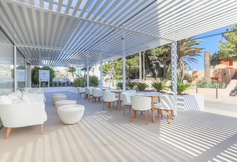 White Apartments   Adults Only