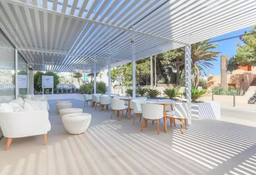 White Apartments   Adults Only