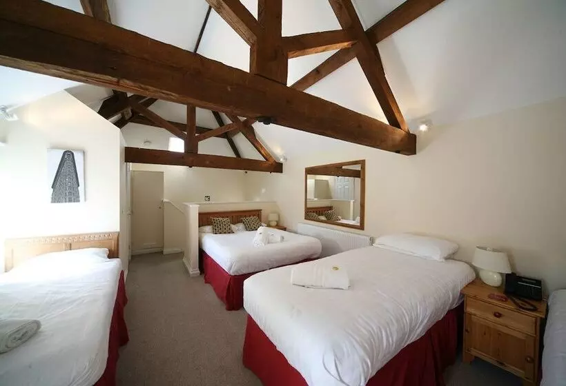 ユースホステル The Dewdrop Inn