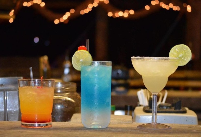 هتل La Tortuga Verde