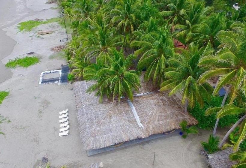 هتل La Tortuga Verde