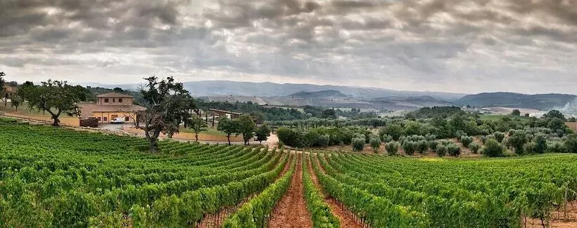 ホテル B&b Terenzi Winery