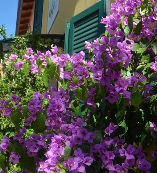 La Meridiana Affittacamere