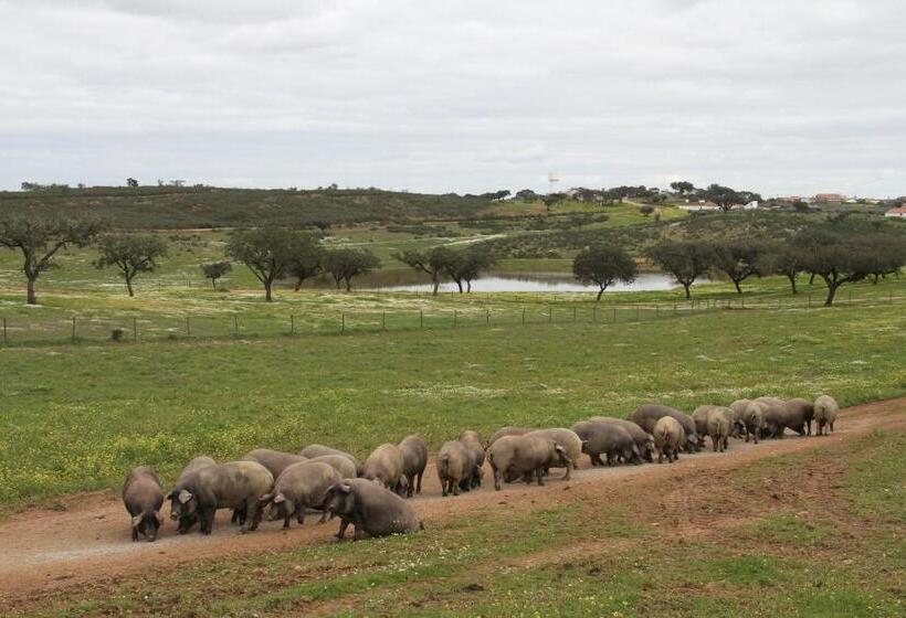 펜션 Casa Do Colegio Velho