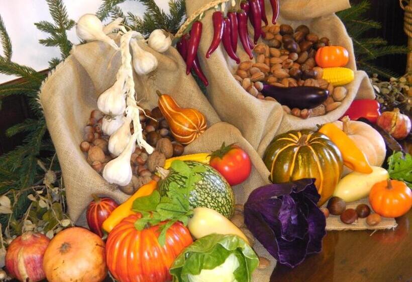 펜션 Casa Do Colegio Velho