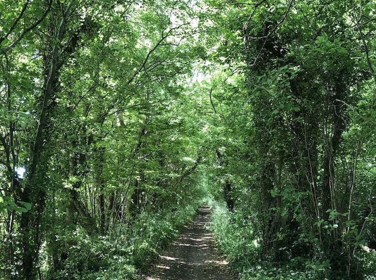 פנסיון Devonshire House