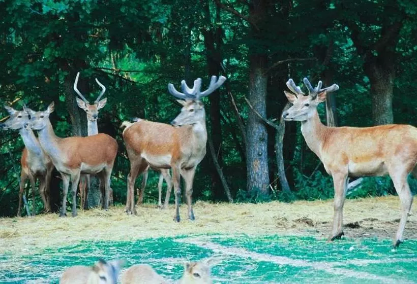 Majatalo Gasthof Plasch