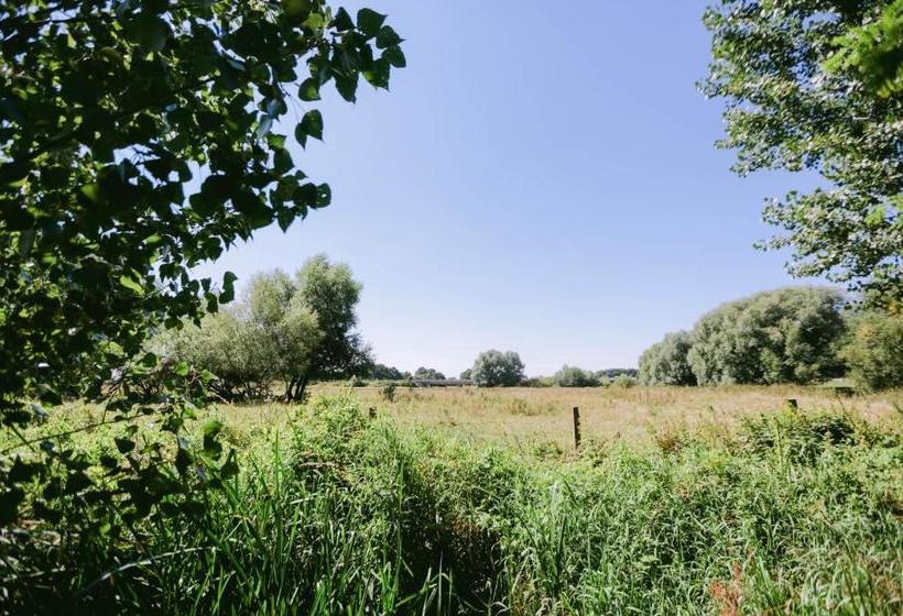 膳宿费 Gasthof Willenbrink