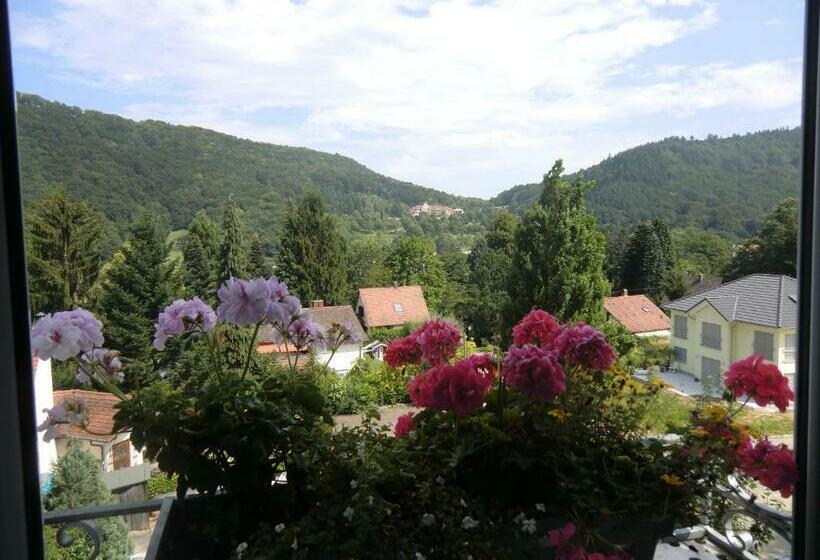 פנסיון Haus Marija M