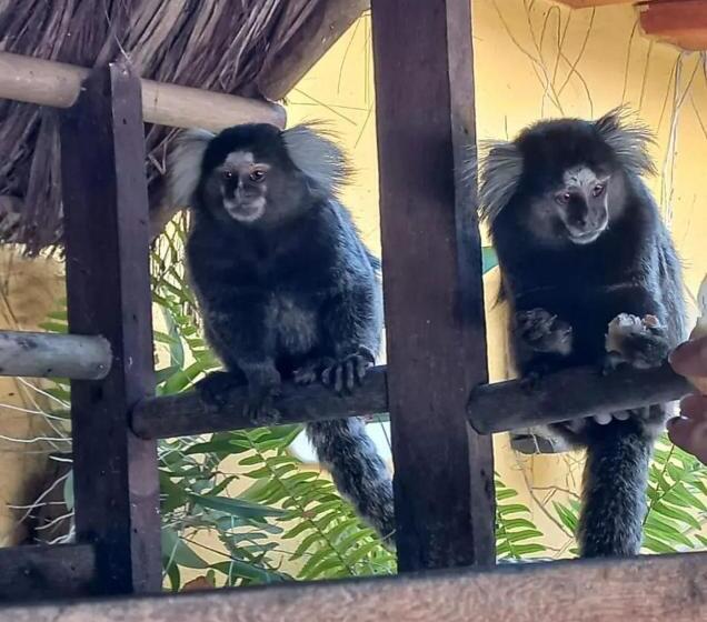 پانسیون Pousada Juliana