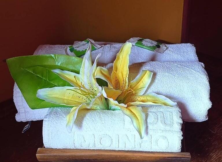 Пансион Pousada Moinho De Vento