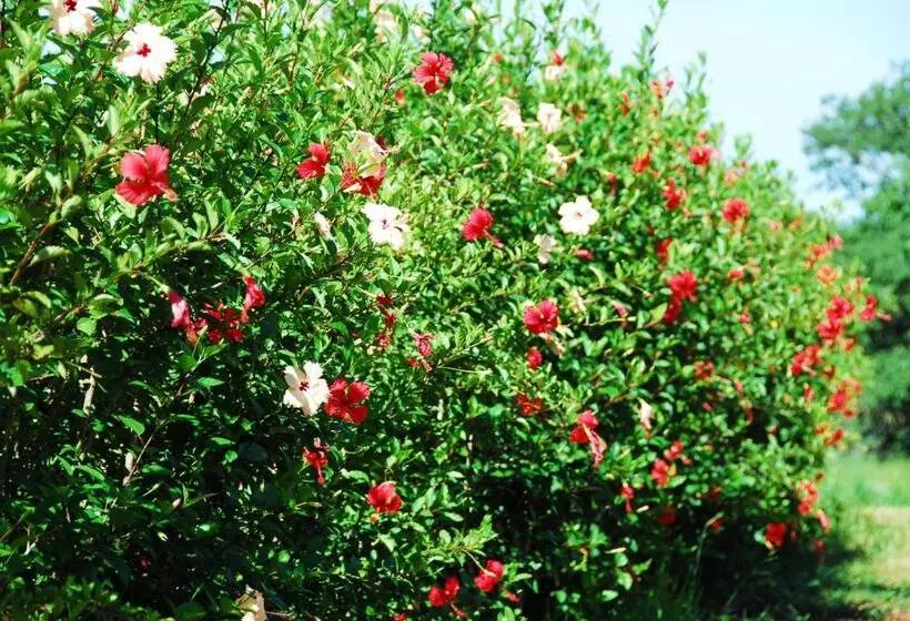 Majatalo Pousada Moinho De Vento