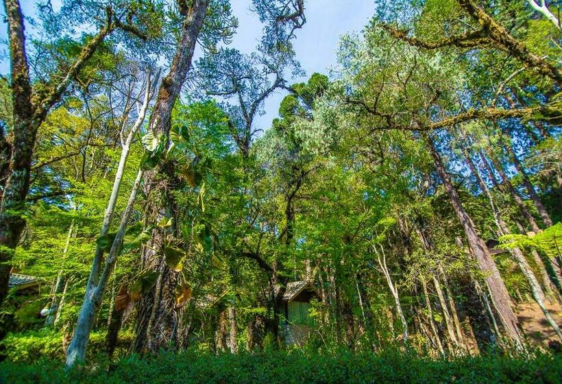 Pension Pousada Villa D'amore