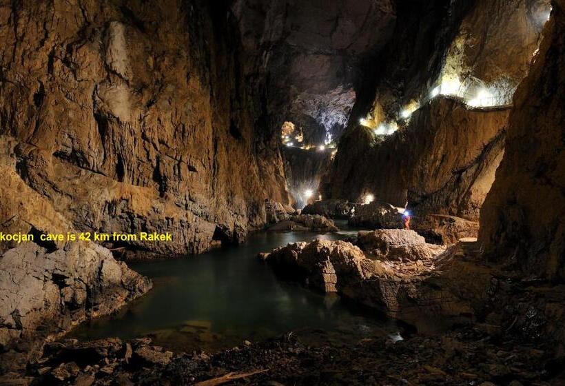 پانسیون Apartments Furman   Self Check In