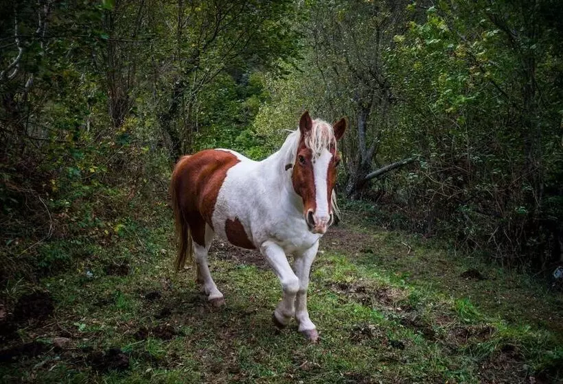 Majatalo Núcleo De Turismo Rural La Corte