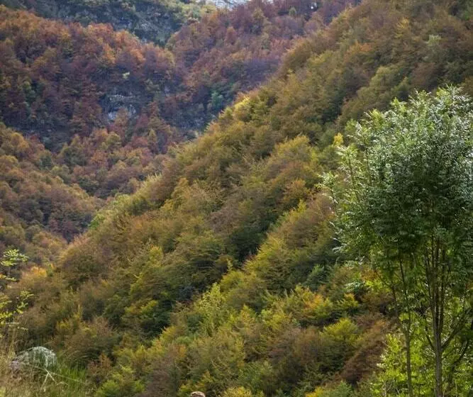 Majatalo Núcleo De Turismo Rural La Corte