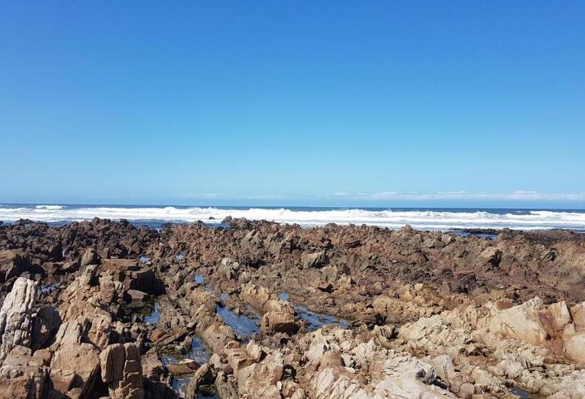 膳宿费 Villa Vista Guest House