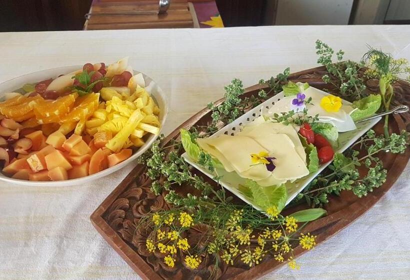 膳宿费 Villa Vista Guest House