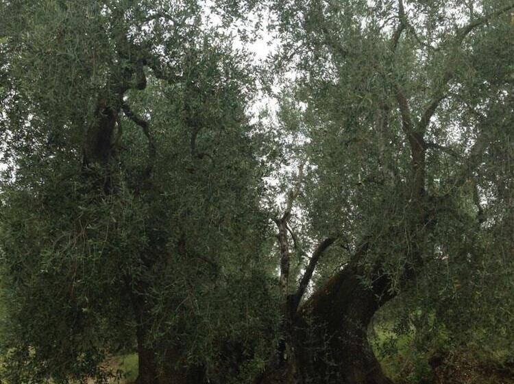 Residence Valleverde