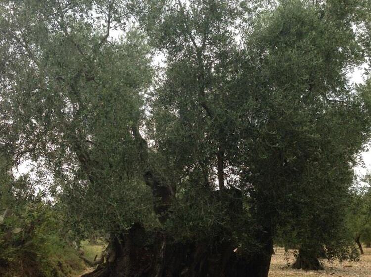 Residence Valleverde