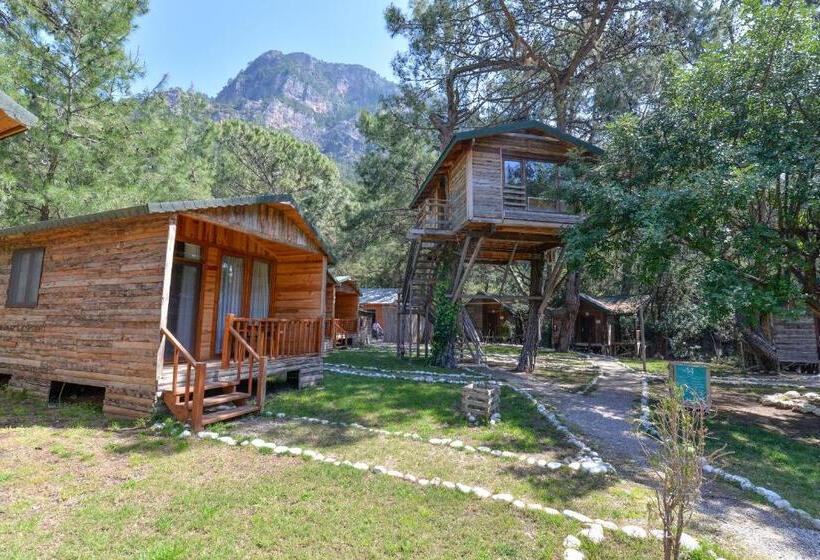 בית מלון כפרי Sea Valley Lodge