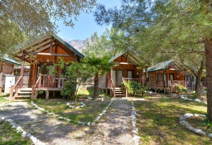 בית מלון כפרי Sea Valley Lodge