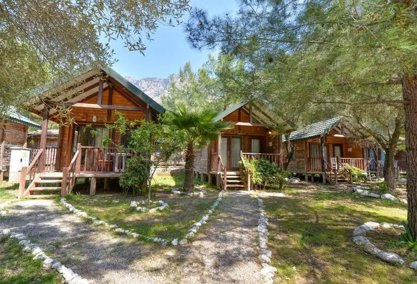 ホテル Sea Valley Lodge